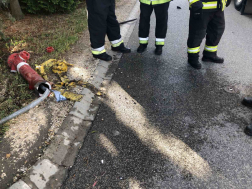 Tűzcsapot is kidöntötte az autó 