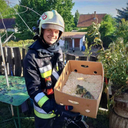 A tűzoltók kacsákat is kimentettek a tűzből