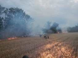 A ceglédi tűzoltók oltották el a lángokat