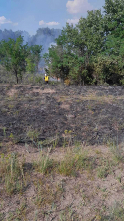 A tüzet a dabasi tűzoltók oltották el