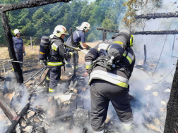A tápiószecsői és a nagykátai tűzoltók oltották el a lángokat
