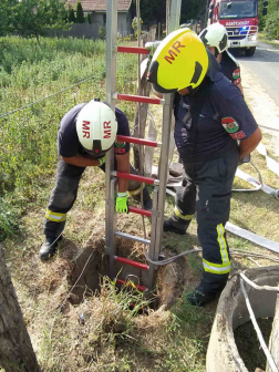 mentőkötél és létra kellett a kiscica kimentéséhez