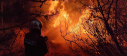 A tüzet a kis-szigeti és a szigetszentmiklósi tűzoltók oltották el