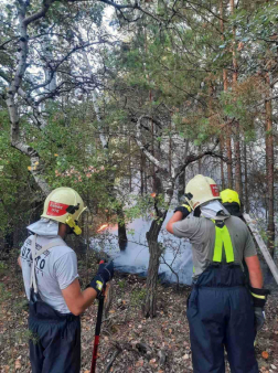 Önkéntes tűzoltók is részt vettek az oltásban