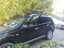 A ceglédi hivatásos tűzoltók végezték a műszaki mentési feladatokat