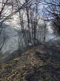 A tűzoltók megakadályozták a lángok továbbterjedését
