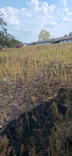 Száraz növényzet égett Bugyi településen