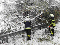 Leszakadt faágak is sok munkát adtak a tűzoltóknak