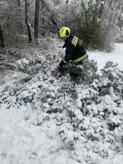 Az ágak eltávolítása után újra járhatóak lettek az utak