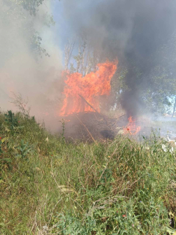 A nagykátai hivatásos tűzoltók megakadályozták a lángok továbbterjedését
