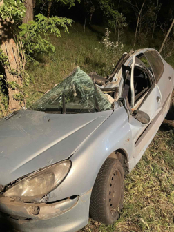 Egy személygépkocsi fának ütközött