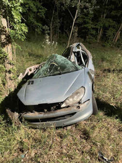 A járműben egyedül a sofőr utazott