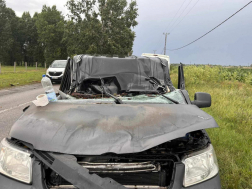 . Dunavarsány közelében egy nagy méretű fa dőlt egy autóra