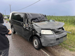 A délegyházi önkéntes tűzoltók motoros láncfűrész segítségével a fát összedarabolták