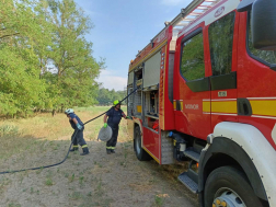 Erdő aljnövényzete égett Tatárszentgyörgyön