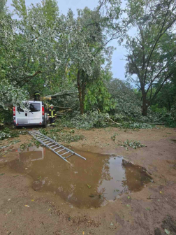 Kidőlt fák, leszakadt ágak adatak munkát a tűzoltóknak 