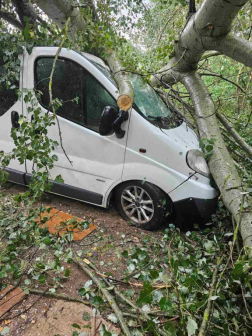 Parkoló gépkocsikra is rádőlt a fa