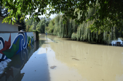  	Harminchat kilométeren folynak a védekezési munkálatok