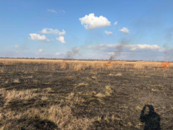 Nádas kapott lángra Bugyi település határában