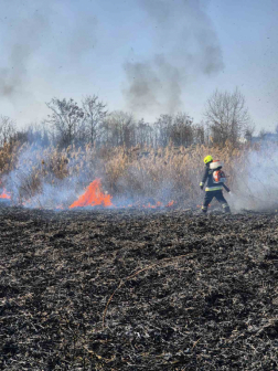 A tüzet a nagykátai tűzoltók oltották el