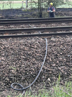Több ponton kapott lángra a száraz növényzet