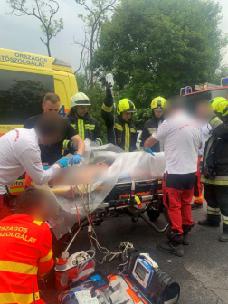 Fának ütközött és árokba hajtott egy gépkocsi
