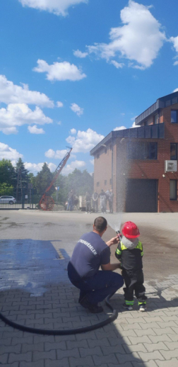 Nyitott szertárkapu Pest Vármegyében