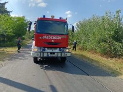 A tűz gyorsan és nagy területen terjedt