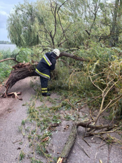 Vihar Pest Vármegyében