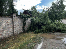 Vihar Pest Vármegyében