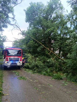 Vihar Pest Vármegyében