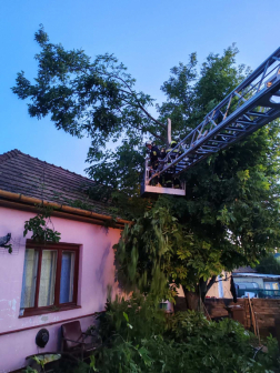 Vihar Pest Vármegyében