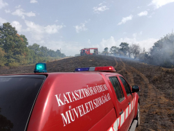 Öt hektáron égett a növényzet Vác határában