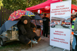  	Füstérzékelőt nyert két sülysápi család