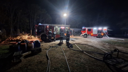 Öt disznó megmenekült a tűztől