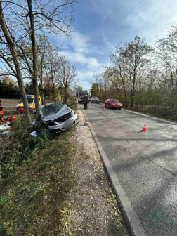 Fának hajtott az autó