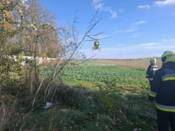 A tűzoltók átvizsgálták a járműveket