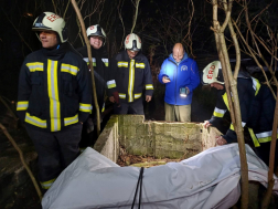 Húsz méter mély, kiszáradt kútba esett egy macska