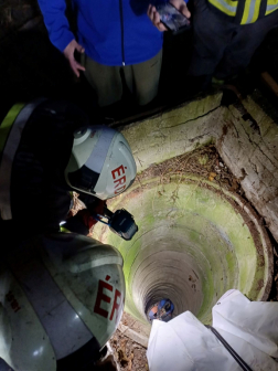 Az érdi hivatásos tűzoltók ipari alpinista segítségével a cicát kimentették