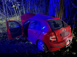 Az útról lesodródott és fának ütközött egy személygépkocsi 