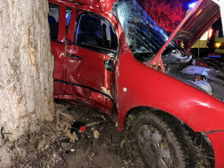 A járműben egyedül a sofőr utazott, aki elhagyta a gépkocsit.