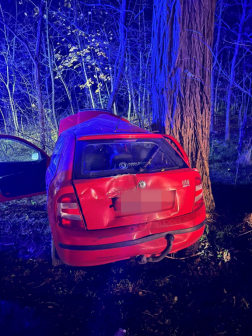 A nagykátai hivatásos tűzoltók áramtalanították az autót