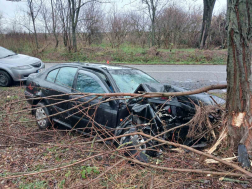 Fának ütközött egy személygépkocsi Vácszentlászló közelében
