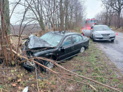 A gödöllői hivatásos tűzoltók végezték a műszaki mentési feladatokat