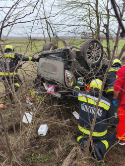 Fák közé hajtott és felborult egy gépkocsi 