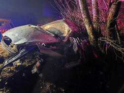 A személygépkocsi az út menti fának csapódott