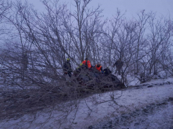 A járműben egyedül a sofőr utazott