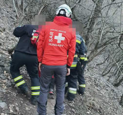 A váci, a nagymarosi és a börzsönyi tűzoltók végezték a műszaki mentési feladatokat