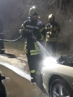 A szentendrei hivatásos tűzoltók eloltották a lángokat