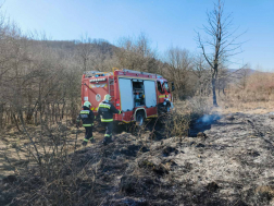 A tűz gyorsan terjedt